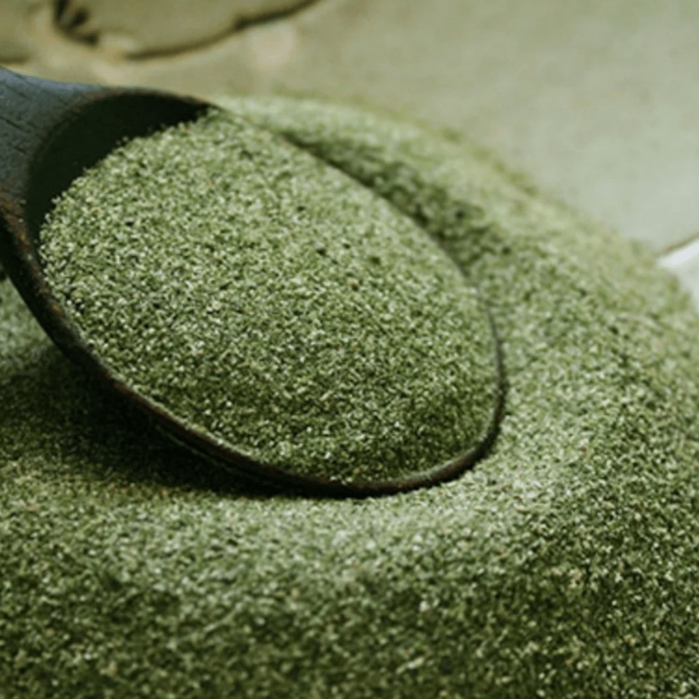 Dental Seaweed Powder - Ascophyllum Nodosum - Oral Care from Australian Animal Oral Care at DoggyTopia