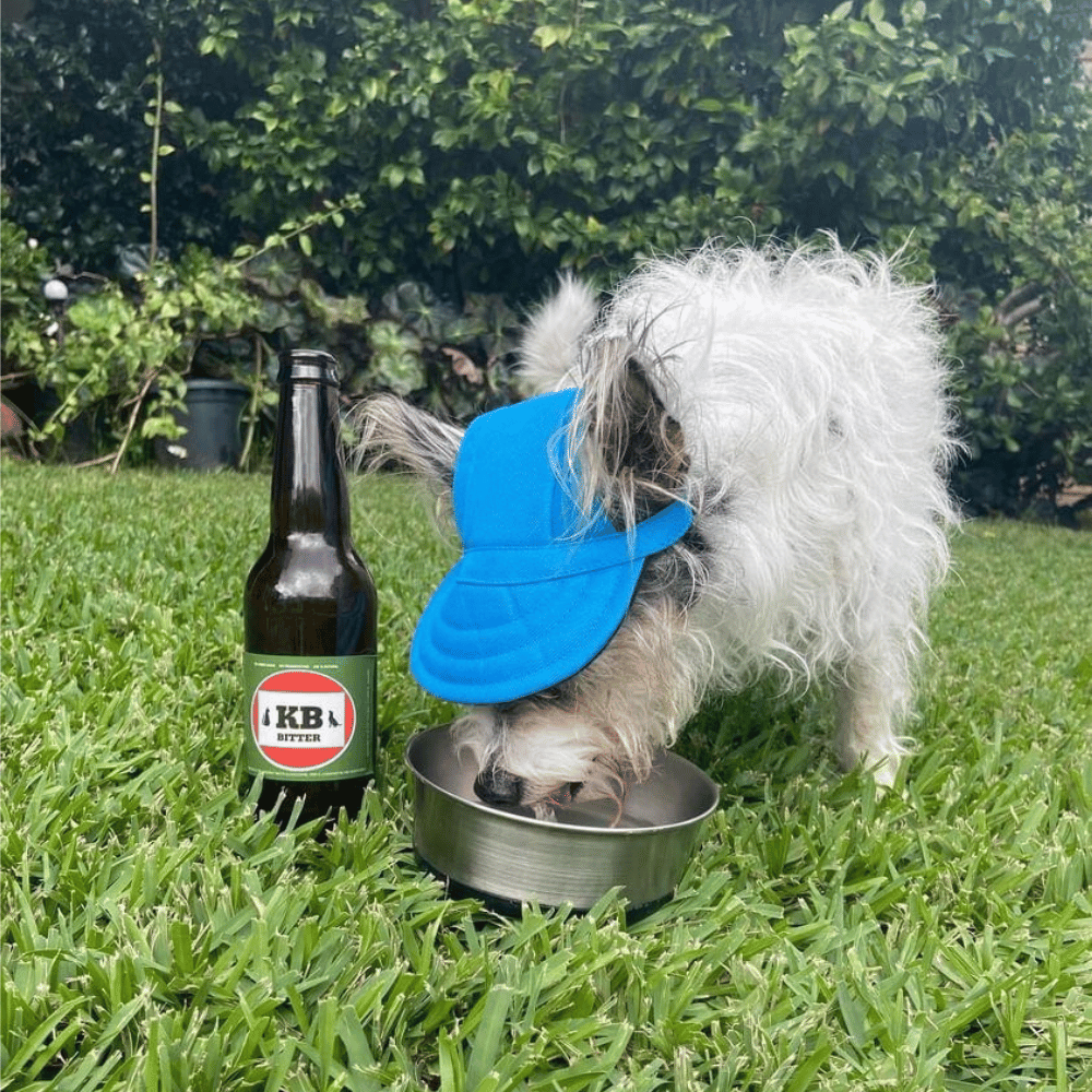 Dog Cap - Blue - Dog Hats from . at DoggyTopia