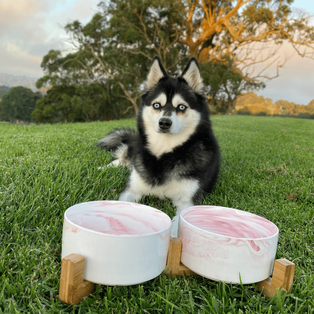 Double Marble Ceramic Bowls With Bamboo Stand - Bowls from . at DoggyTopia