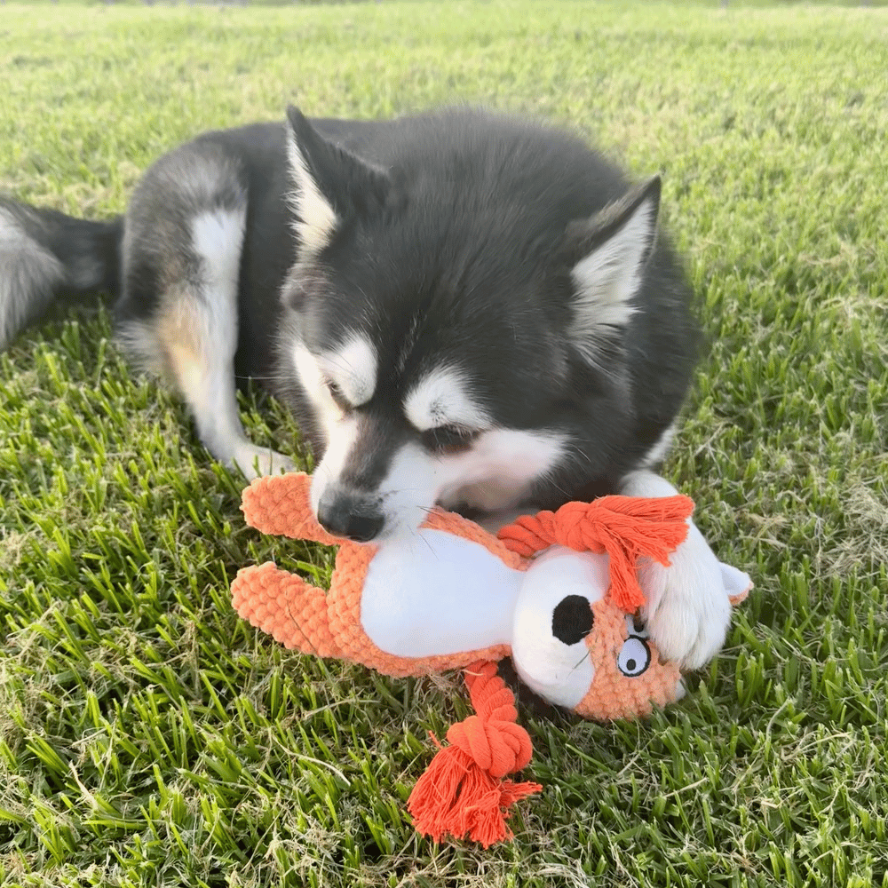Frida Fox Rope Corduroy Dog Toy - Plush and Rope Toys from . at DoggyTopia
