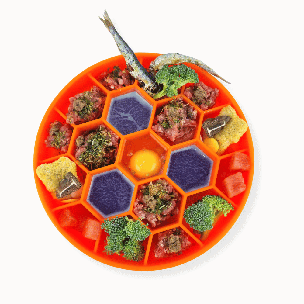 Honeycomb Slow Feeder Bowl - Slow Feeding Bowls from . at DoggyTopia