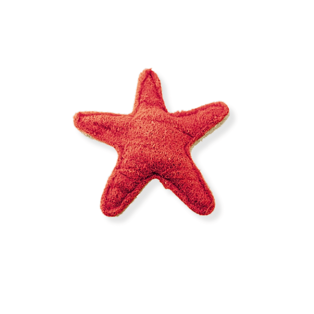 Loofah Starfish Dental Toy - Dental Toys from Sale at DoggyTopia