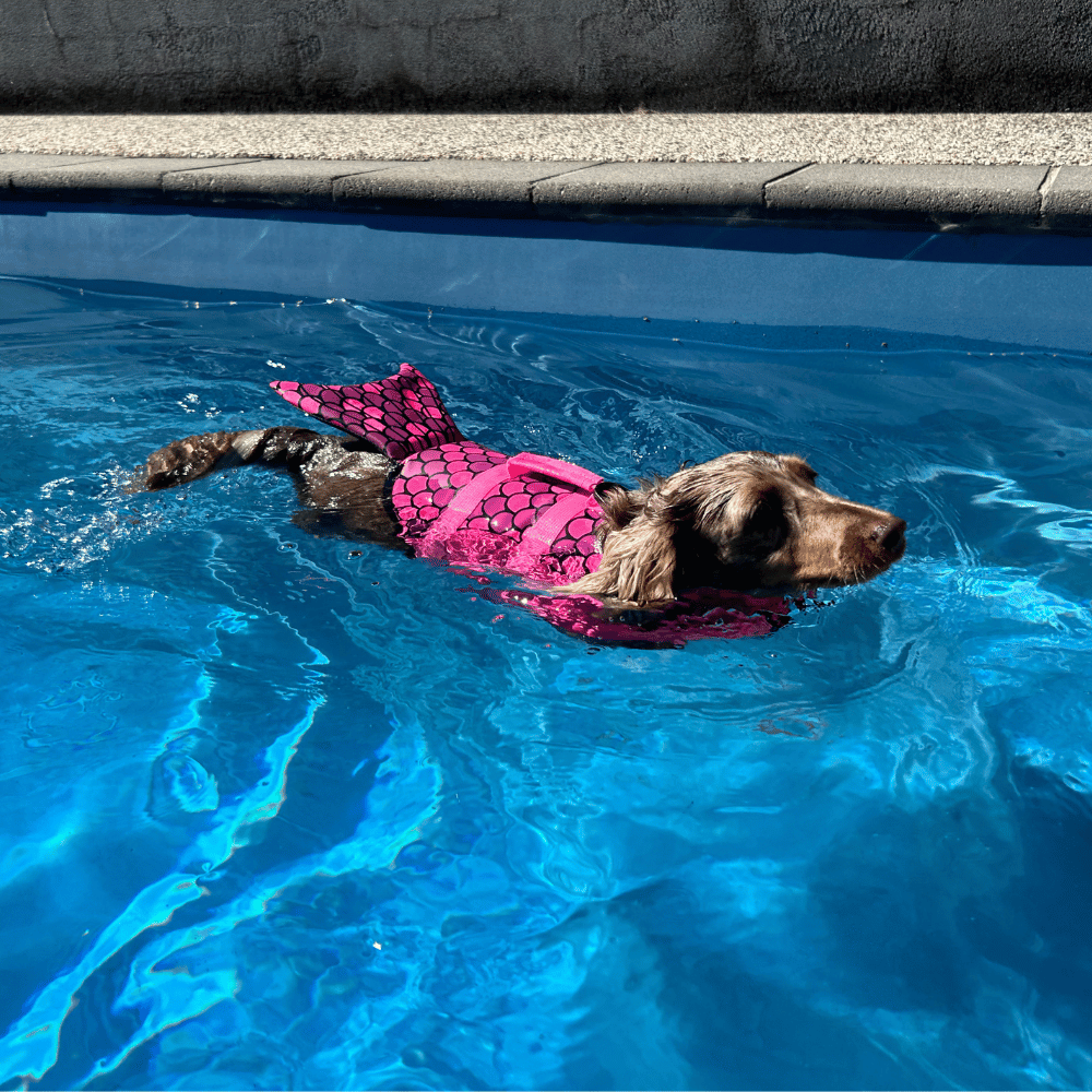 Mermaid Dog Life Jacket - Life Jackets from . at DoggyTopia