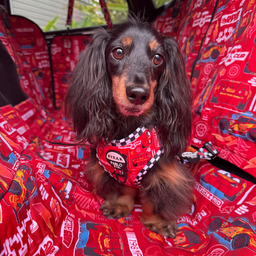 Pablo & Co Cars Deluxe Hammock Car Seat Cover - Car Seat Cover from Pablo & Co Disney at DoggyTopia