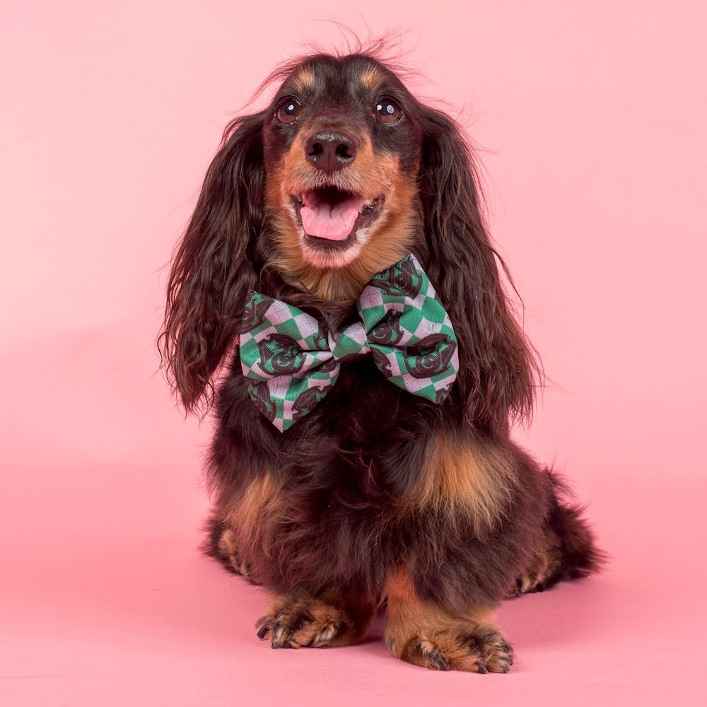 Pablo & Co Harry Potter Slytherin: Bow Tie - Bow Ties from Sale at DoggyTopia