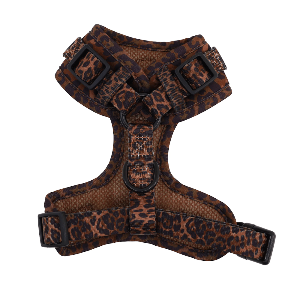 Pablo & Co Leopard Adjustable Harness - Adjustable Harnesses from Pablo & Co at DoggyTopia