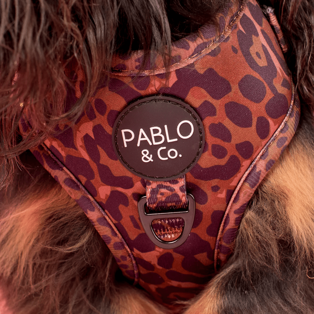 Pablo & Co Leopard Adjustable Harness - Adjustable Harnesses from Pablo & Co at DoggyTopia