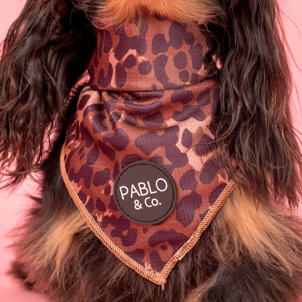 Pablo & Co Leopard Bandana - Bandanas from Pablo & Co at DoggyTopia