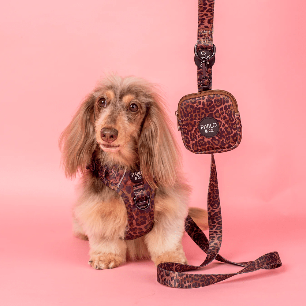 Pablo & Co Leopard Dog Leash - Leashes & Leads from Pablo & Co at DoggyTopia