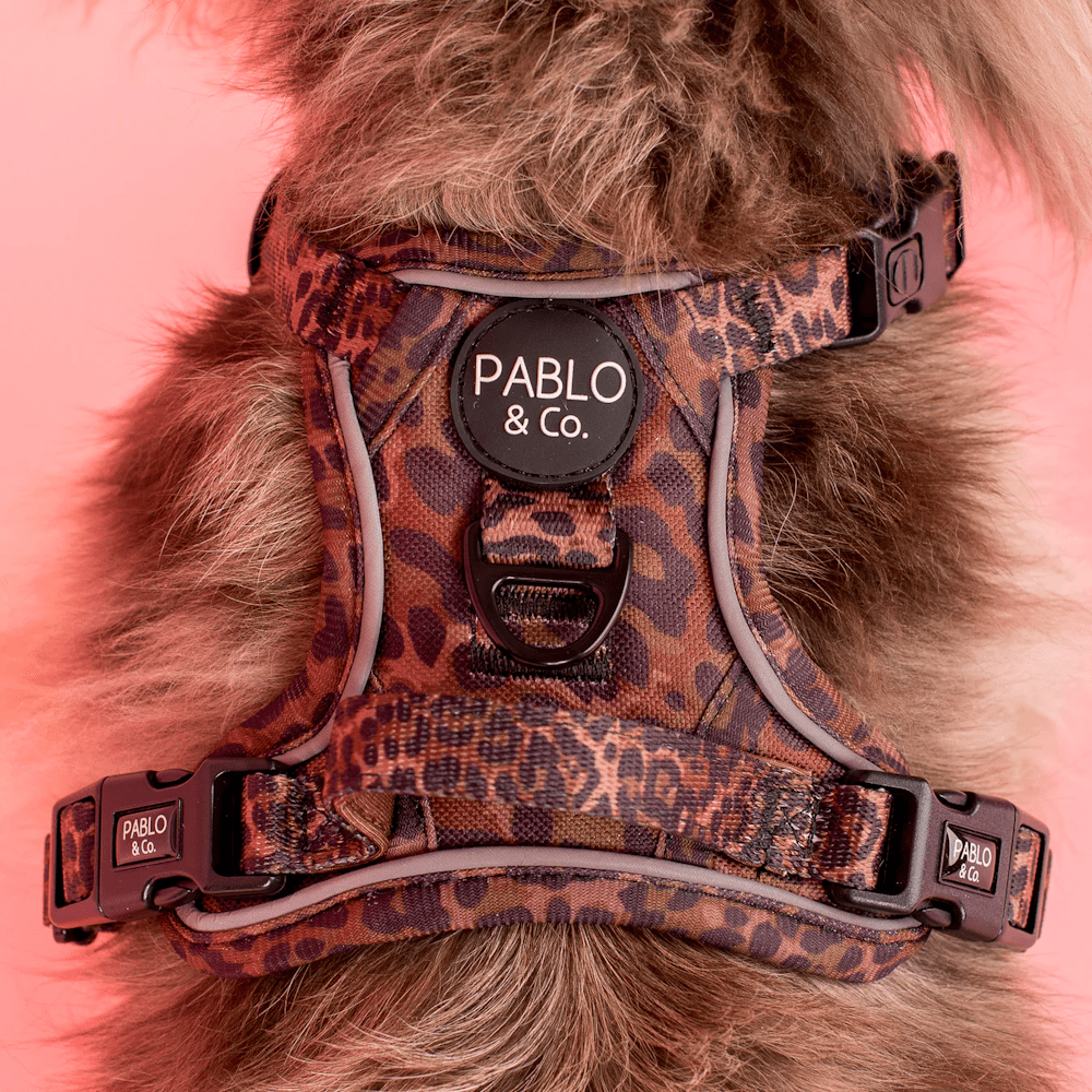 Pablo & Co Leopard No Pull Harness - No Pull Harnesses from Pablo & Co at DoggyTopia