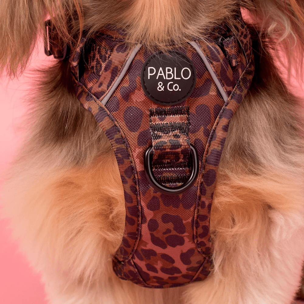 Pablo & Co Leopard No Pull Harness - No Pull Harnesses from Pablo & Co at DoggyTopia