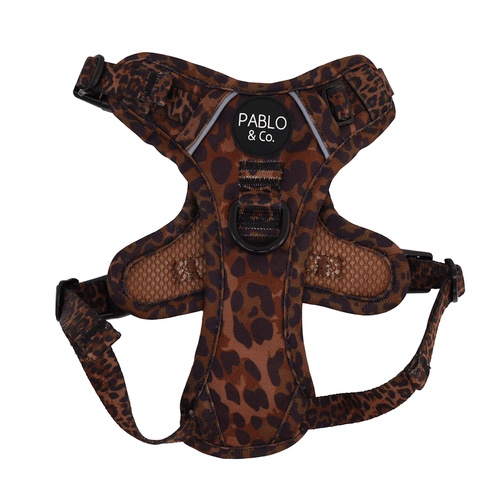 Pablo & Co Leopard No Pull Harness - No Pull Harnesses from Pablo & Co at DoggyTopia