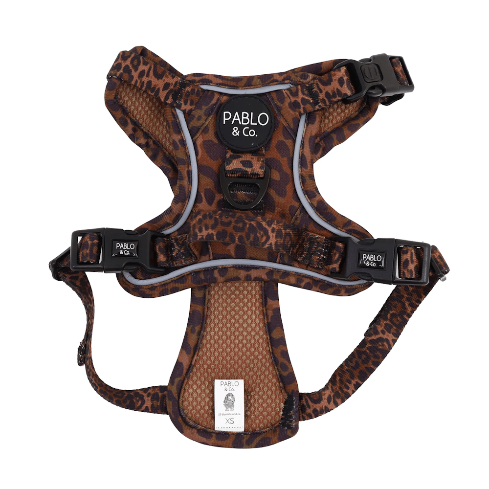 Pablo & Co Leopard No Pull Harness - No Pull Harnesses from Pablo & Co at DoggyTopia