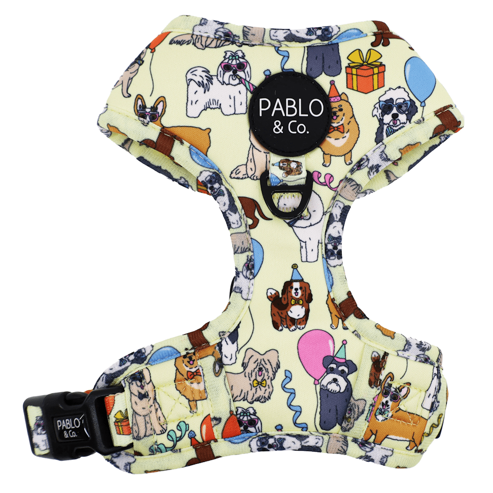 Pablo & Co Party Dawgs Adjustable Harness - Adjustable Harnesses from Pablo & Co at DoggyTopia
