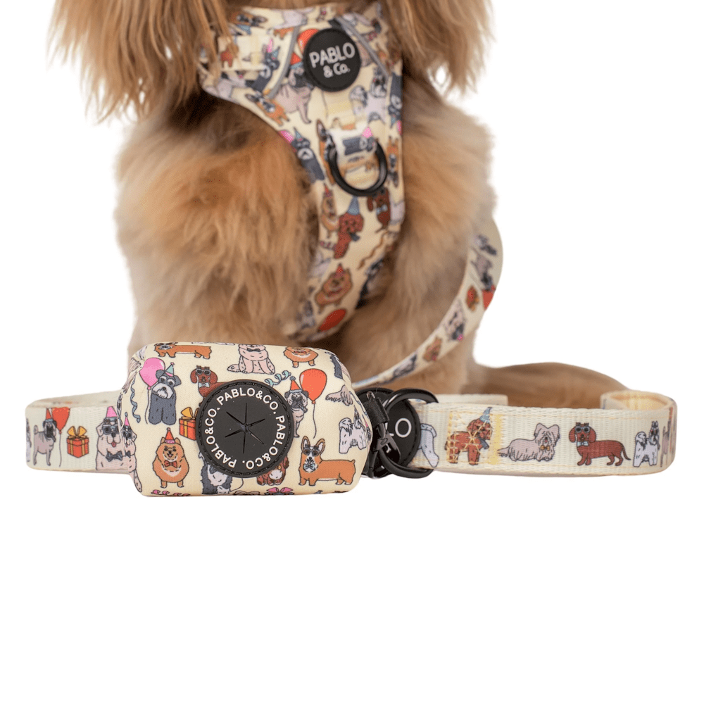 Pablo & Co Party Dawgs Poop Bag Holder - Poop Bag Holders from Pablo & Co at DoggyTopia