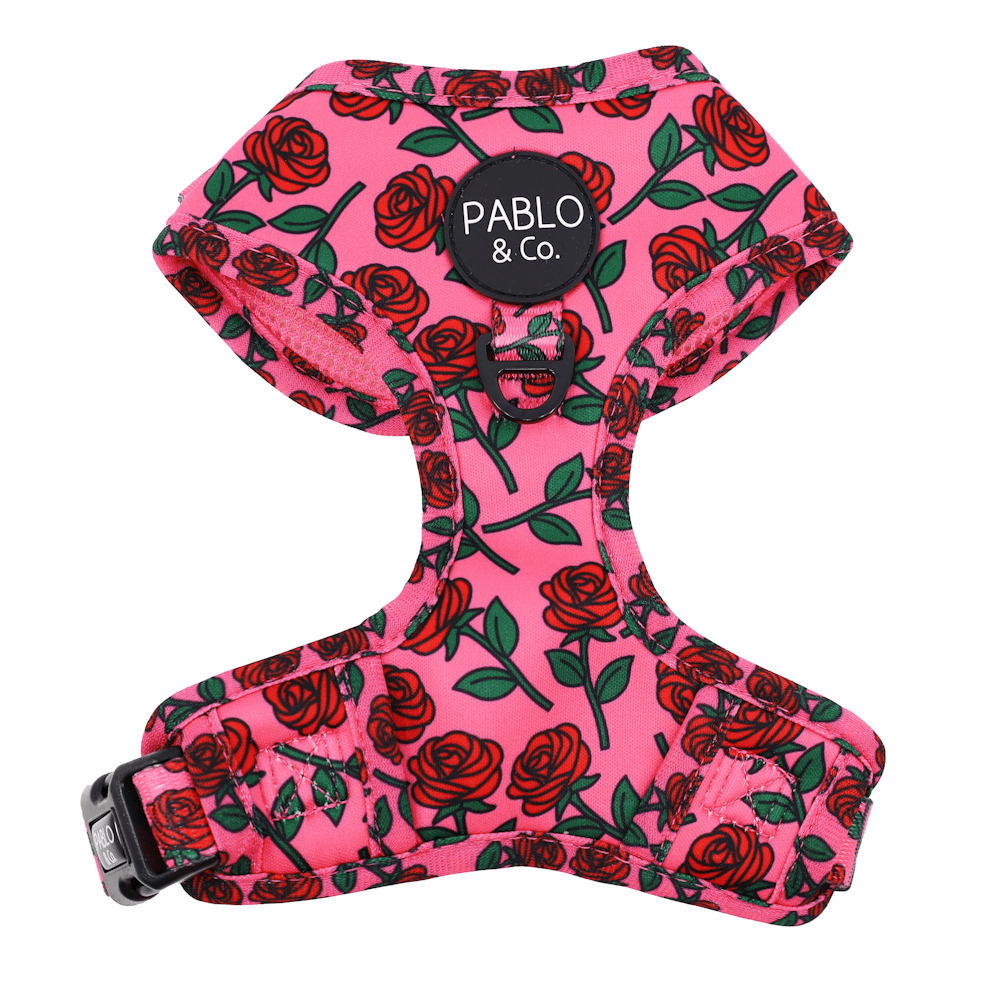 Pablo & Co Rosie Adjustable Harness - Adjustable Harnesses from Sale at DoggyTopia
