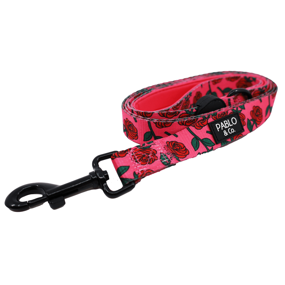 Pablo & Co Rosie Dog Leash - Leashes & Leads from Sale at DoggyTopia