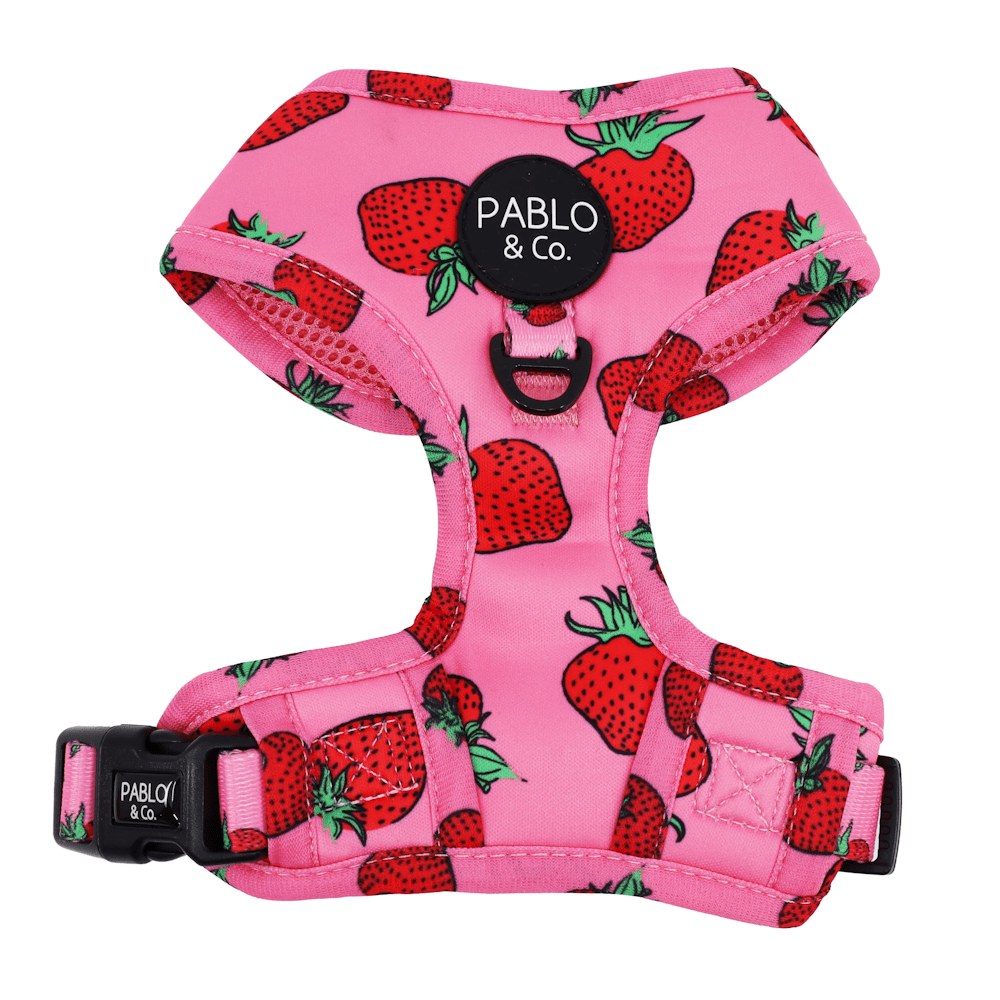 Pablo & Co Strawberries Adjustable Harness - Adjustable Harnesses from Pablo & Co at DoggyTopia