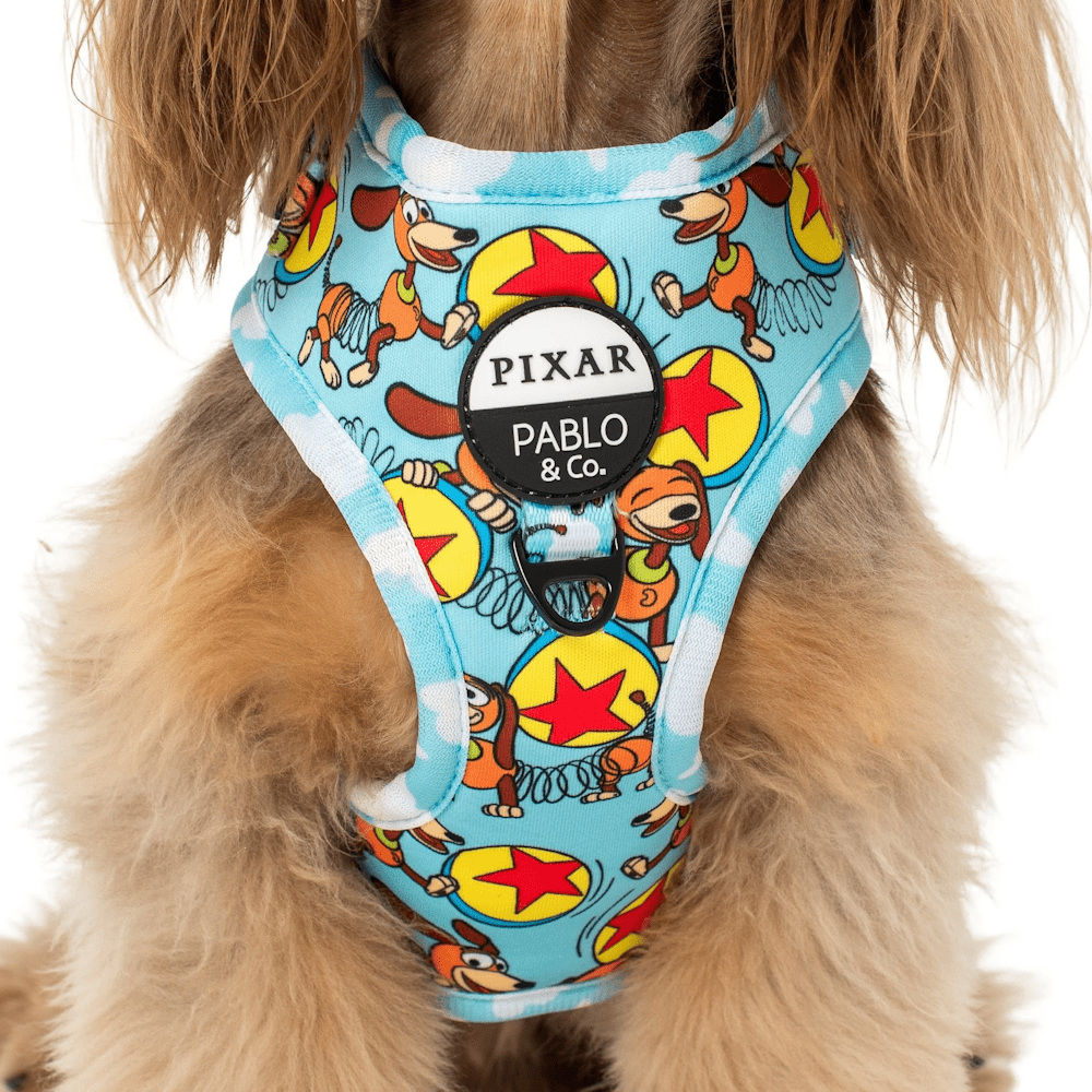 Pablo & Co Toy Story - Slinky Dog: Adjustable Harness - Adjustable Harnesses from Pablo & Co Disney at DoggyTopia