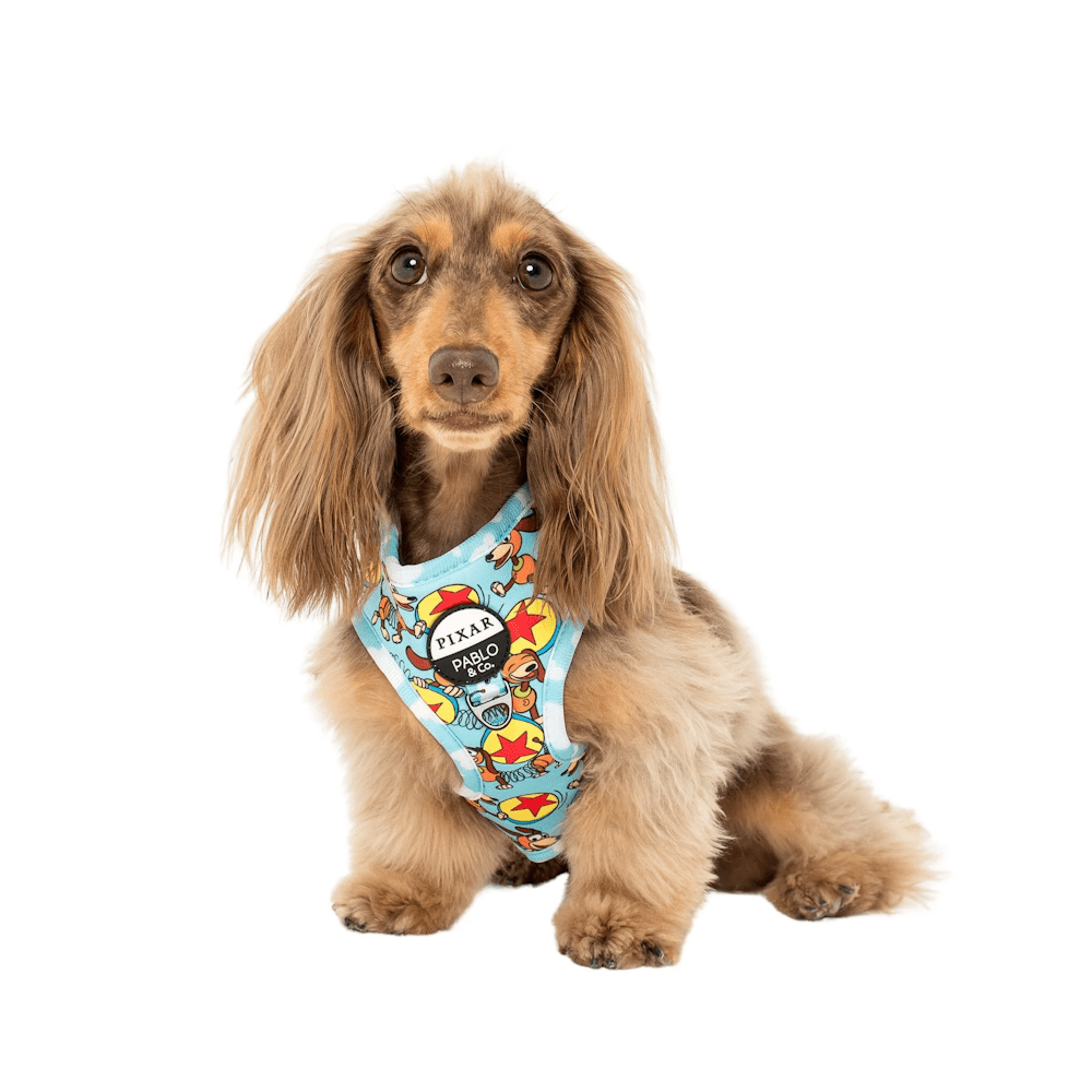 Pablo & Co Toy Story - Slinky Dog: Adjustable Harness - Adjustable Harnesses from Pablo & Co Disney at DoggyTopia
