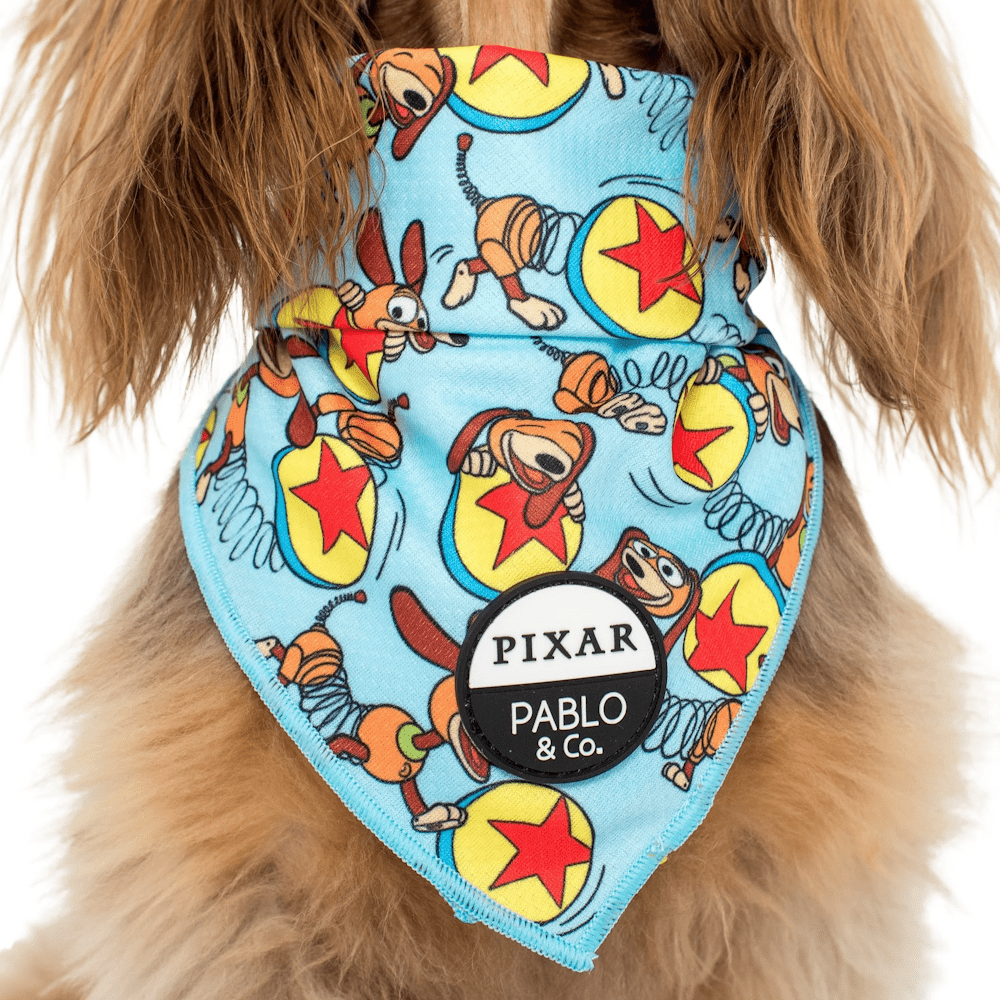 Pablo & Co Toy Story - Slinky Dog: Bandana - Bandanas from Pablo & Co Disney at DoggyTopia