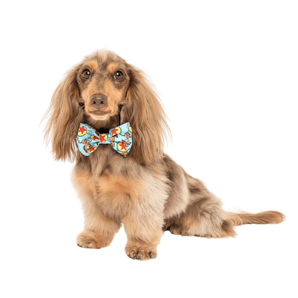 Pablo & Co Toy Story - Slinky Dog: Bow Tie - Bow Ties from Pablo & Co Disney at DoggyTopia