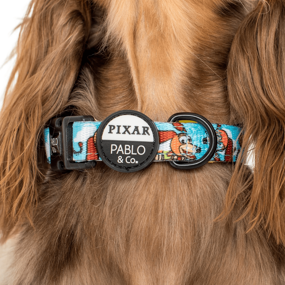 Pablo & Co Toy Story - Slinky Dog: Dog Collar - Collars from Pablo & Co Disney at DoggyTopia