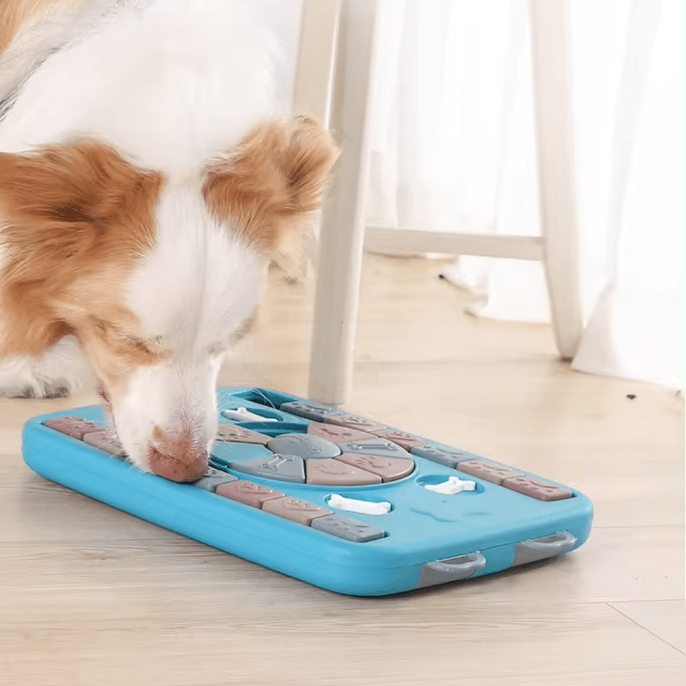 Paws n Bones Dog Treat Puzzle - Puzzles from Sale at DoggyTopia