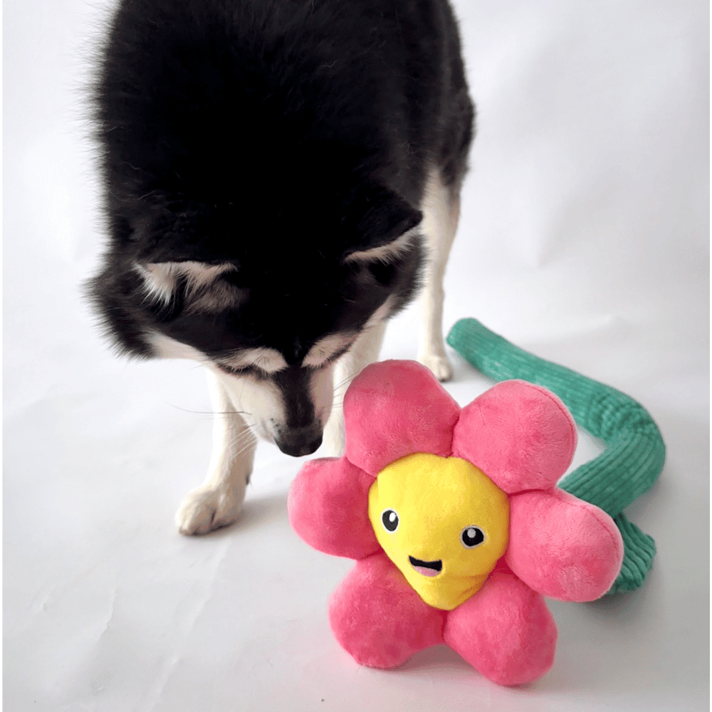 Pink Daisy Flower Dog Toy - Plush Toys from . at DoggyTopia