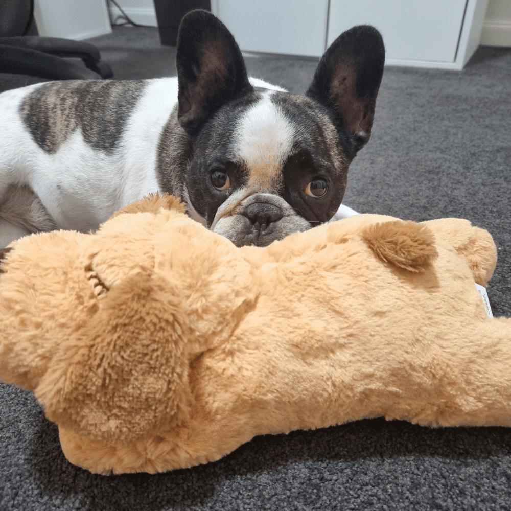 Plush Puppy Heartbeat Comforter Toy - Comforter Toy from . at DoggyTopia