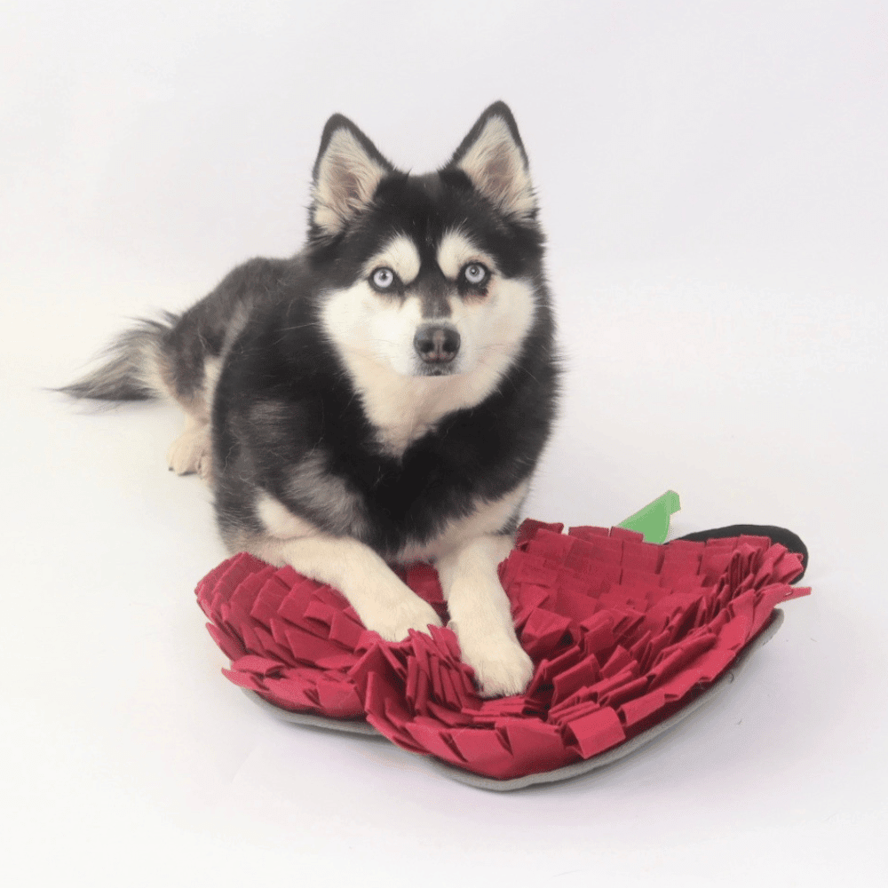 Red Apple Snuffle Mat - Snuffle Mats from . at DoggyTopia