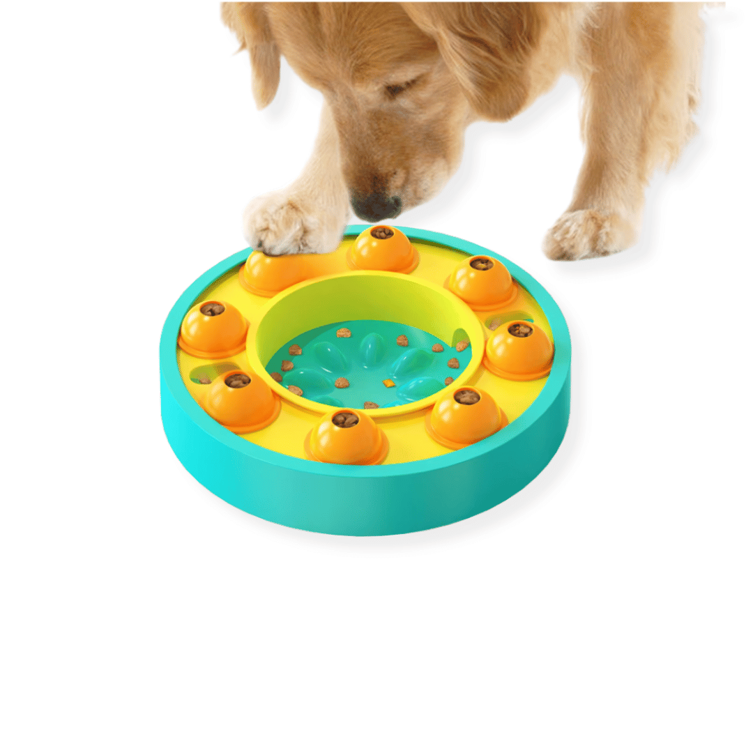 Wheel Slow Feeder Dog Puzzle - Puzzles from . at DoggyTopia