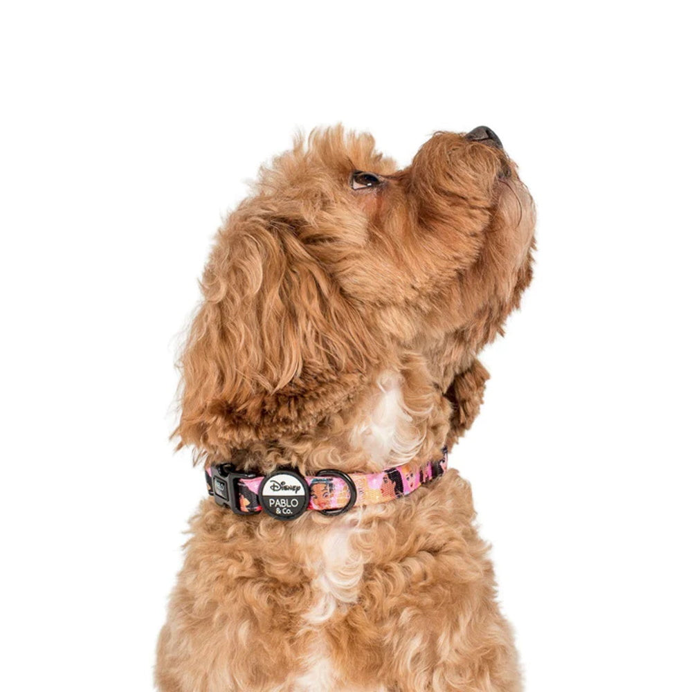 Pablo & Co Disney Princesses: Dog Collar