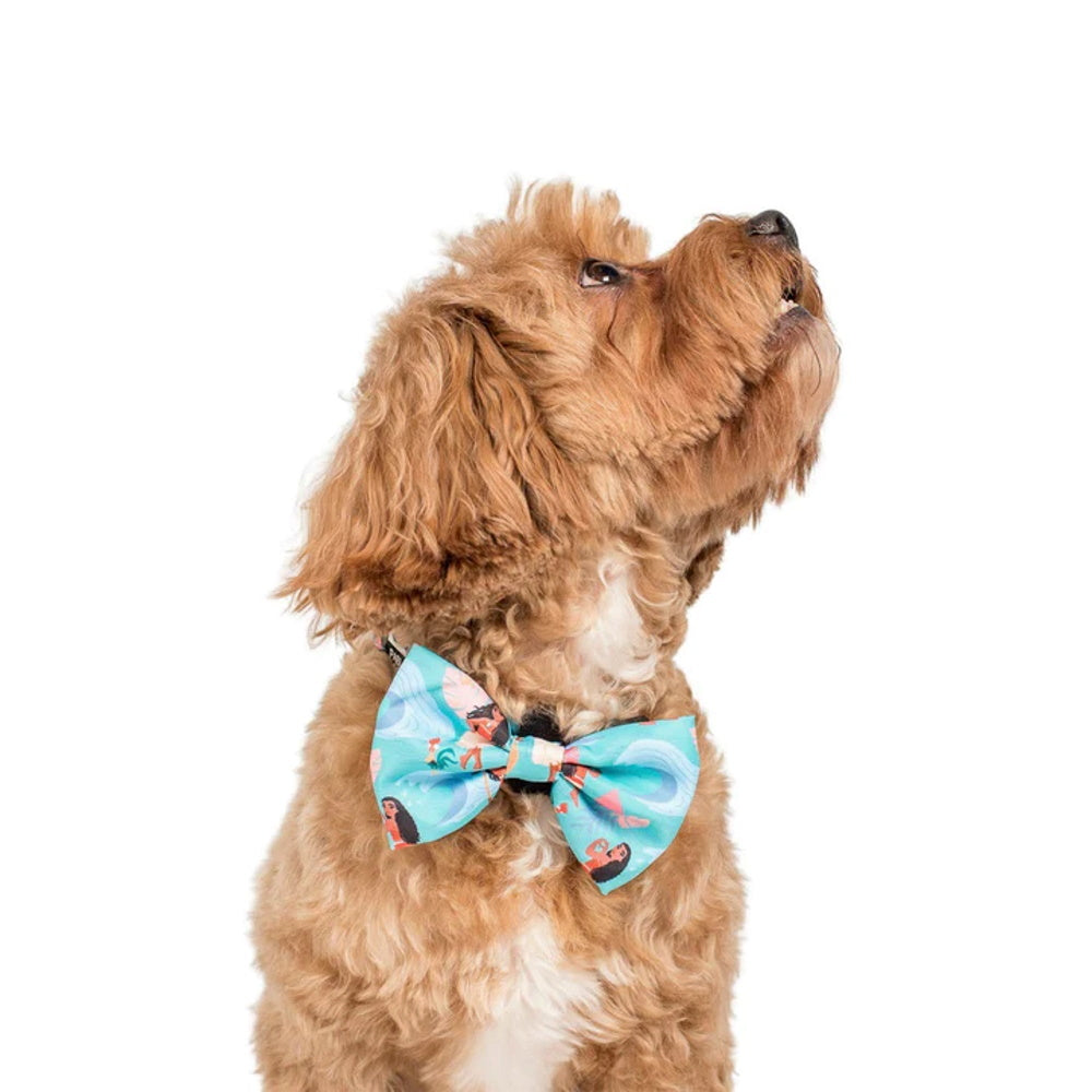 Pablo & Co Moana: Bow Tie