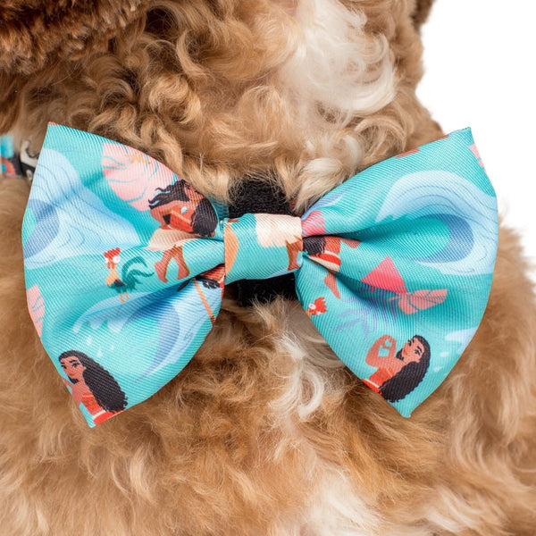 Pablo & Co Moana: Bow Tie