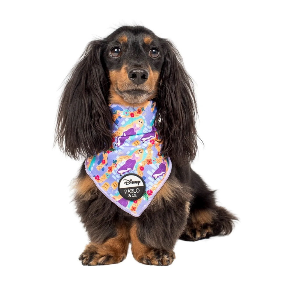 Pablo & Co Rapunzel: Bandana