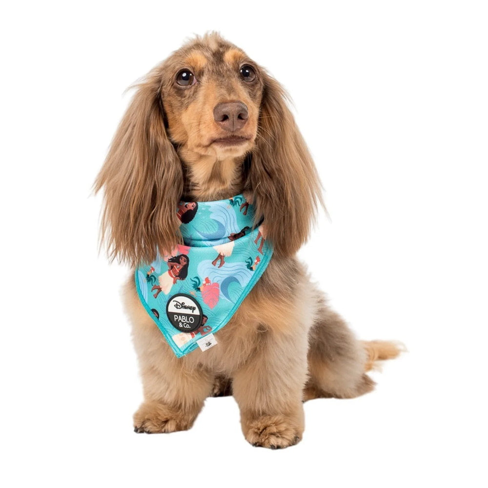 Pablo & Co Moana: Bandana