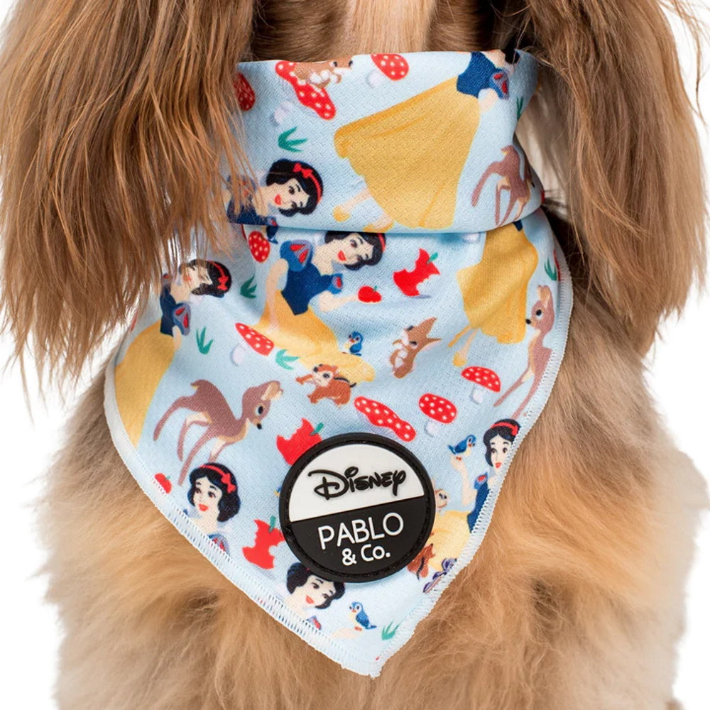 Pablo & Co Snow White: Bandana