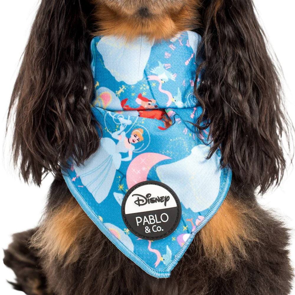 Pablo & Co Cinderella: Bandana