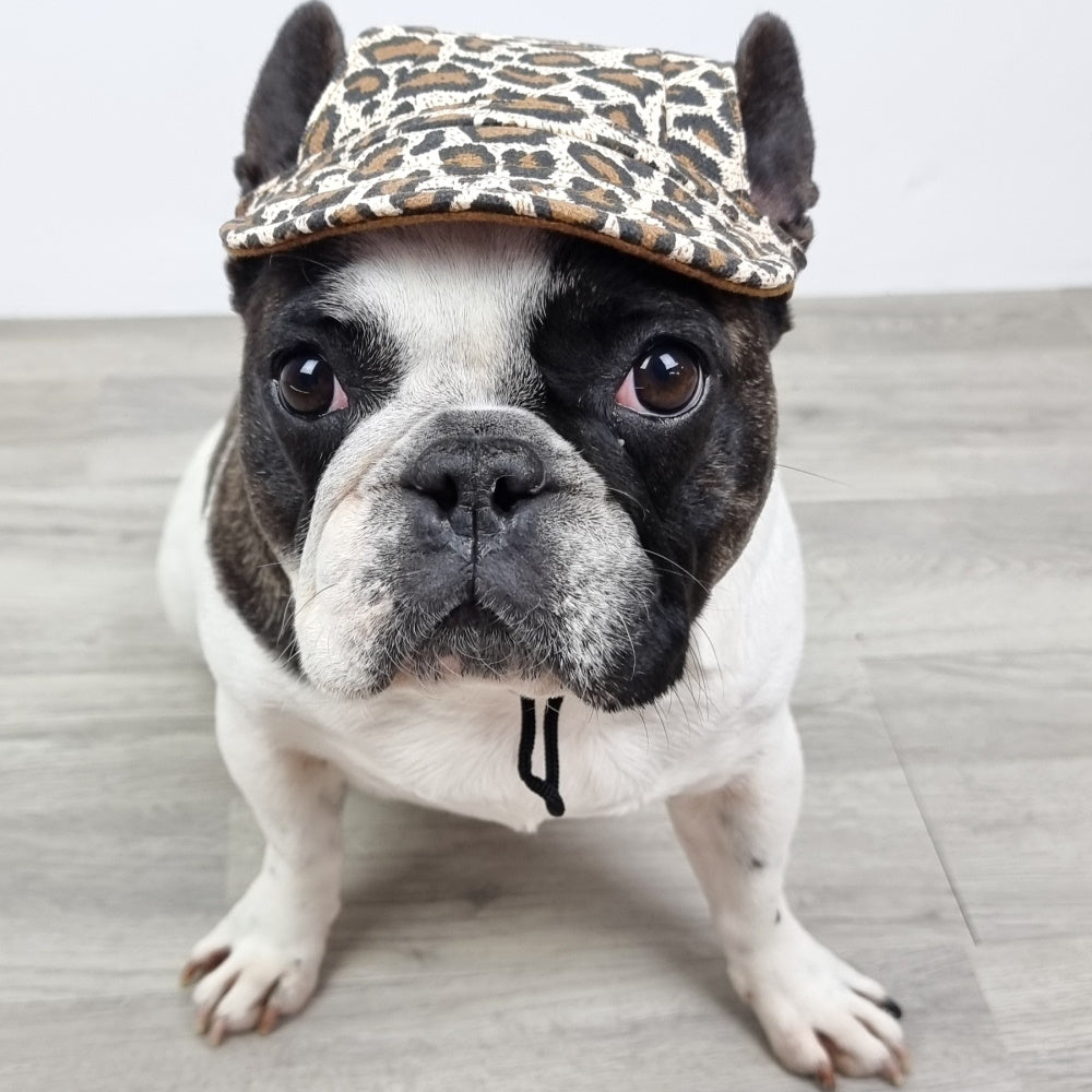 Dog Cap - Leopard