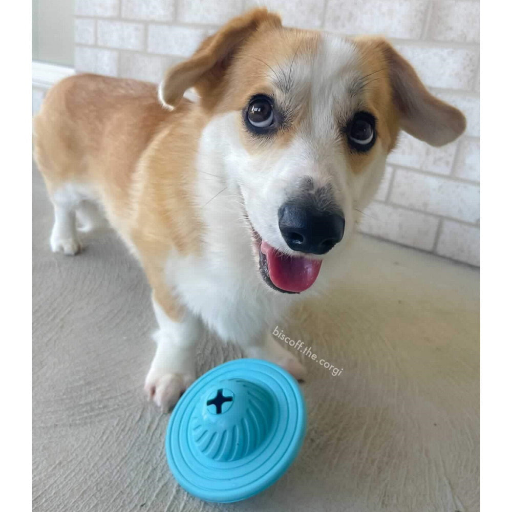 UFO Treat Dispenser Dog Toy - Galactic Swirl