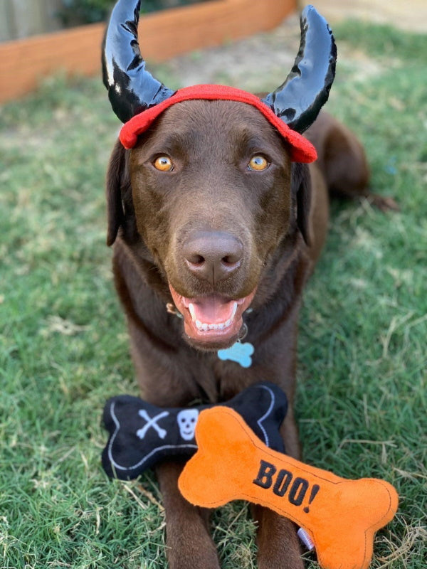 Devil Horns Dog Halloween Costume HeadpieceDoggyTopia