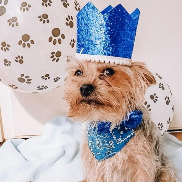 Dog Birthday Crown & Bow Tie CollarDoggyTopia