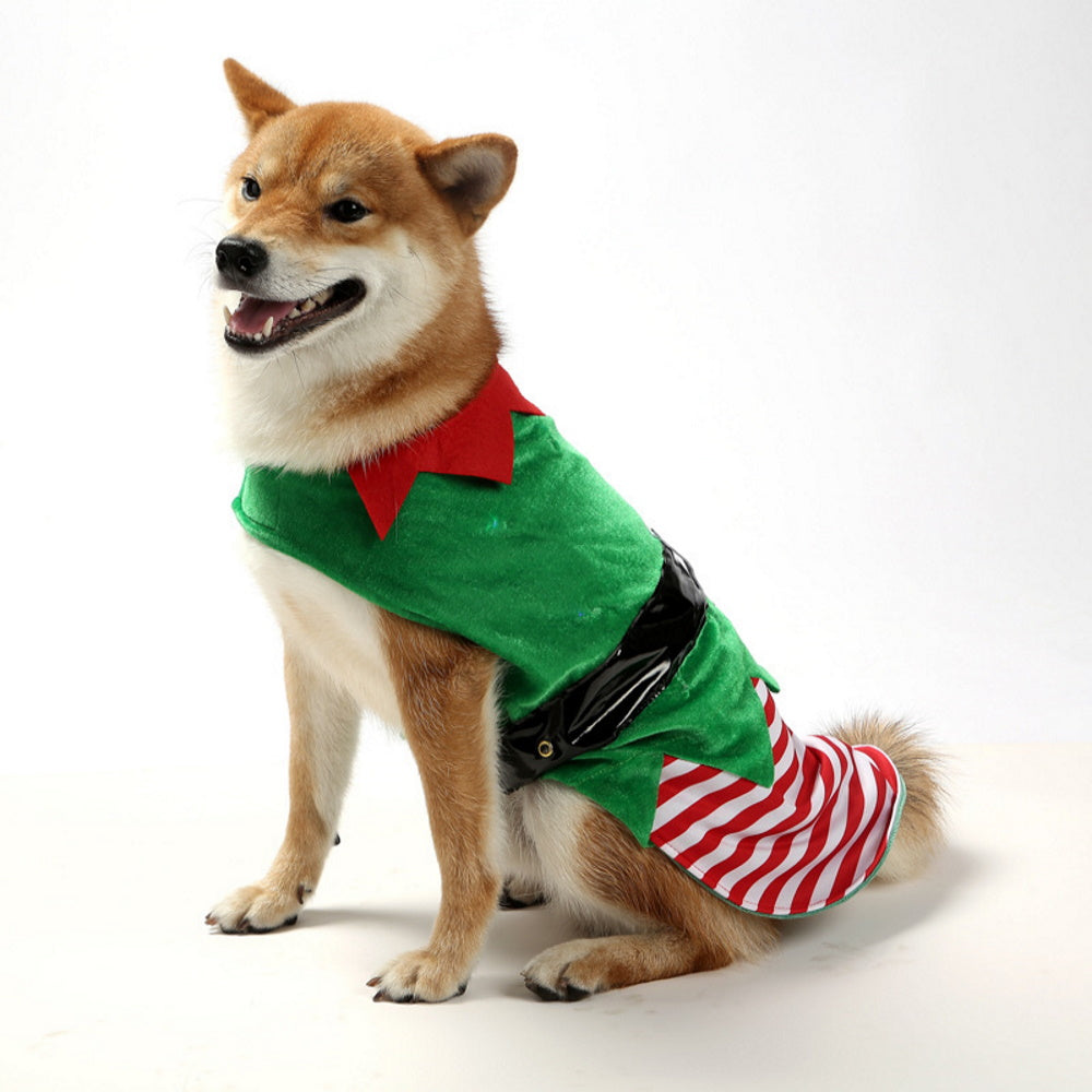 Elf Dog Costume