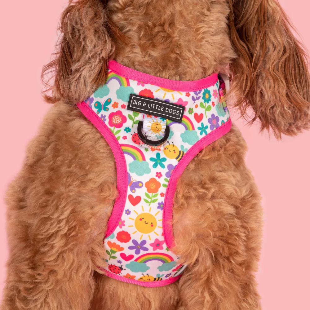 Big & Little Dogs Follow The Rainbow Adjustable Harness