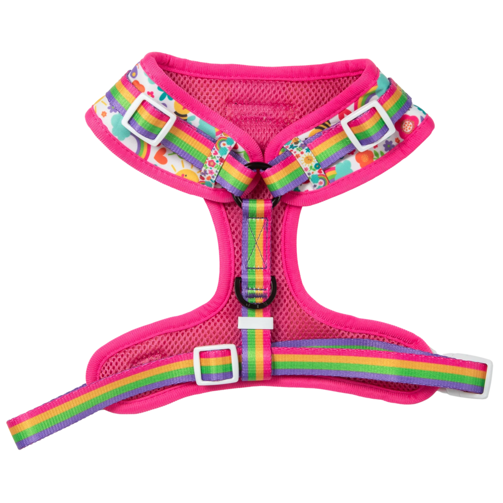 Big & Little Dogs Follow The Rainbow Adjustable Harness