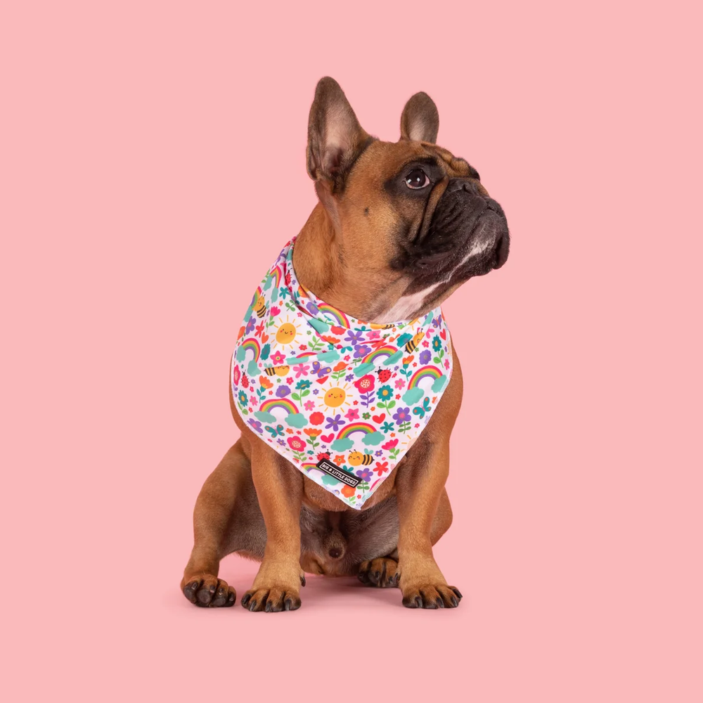 Big & Little Dogs Follow The Rainbow Bandana