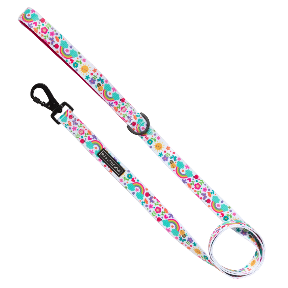 Big & Little Dogs Follow The Rainbow Dog Leash