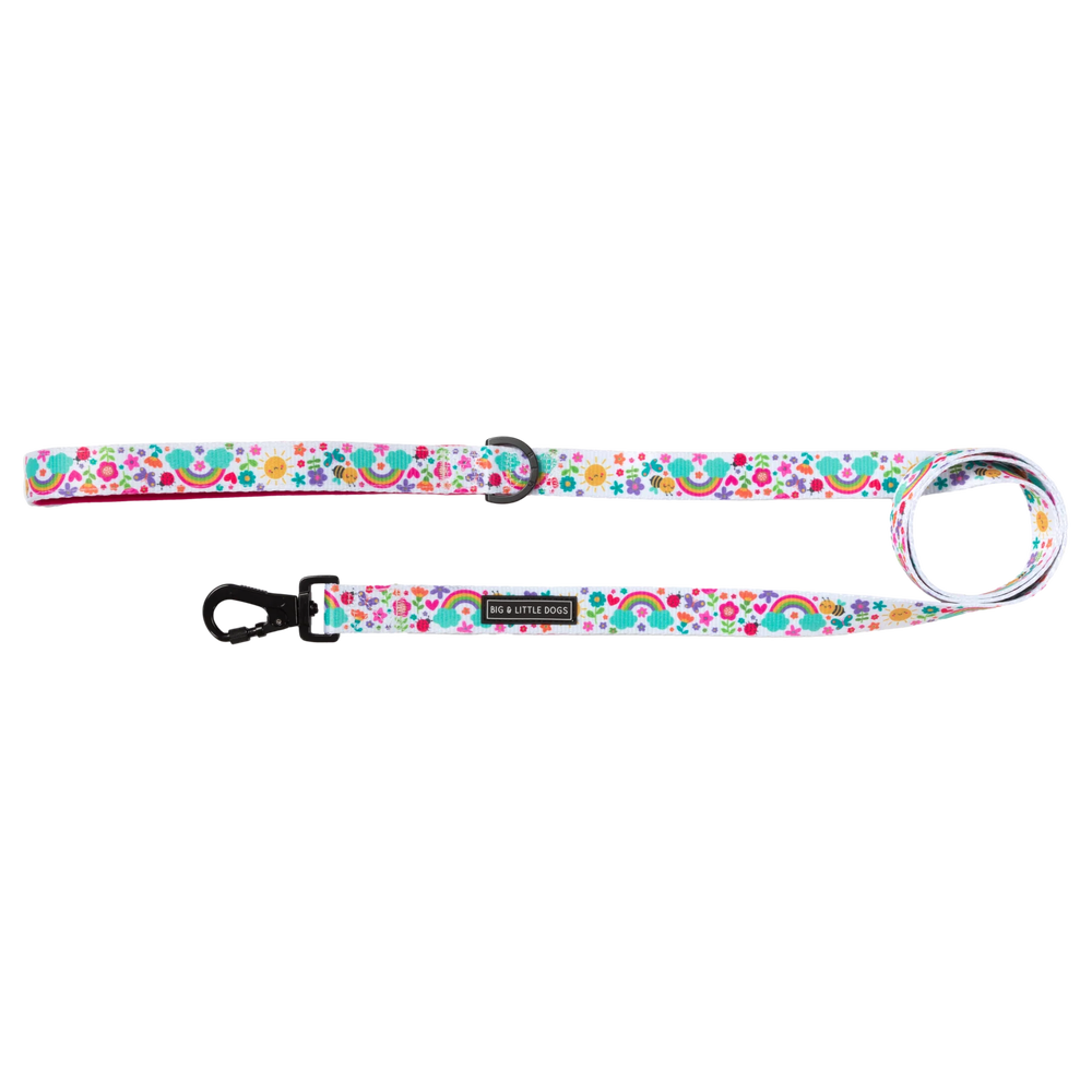 Big & Little Dogs Follow The Rainbow Dog Leash