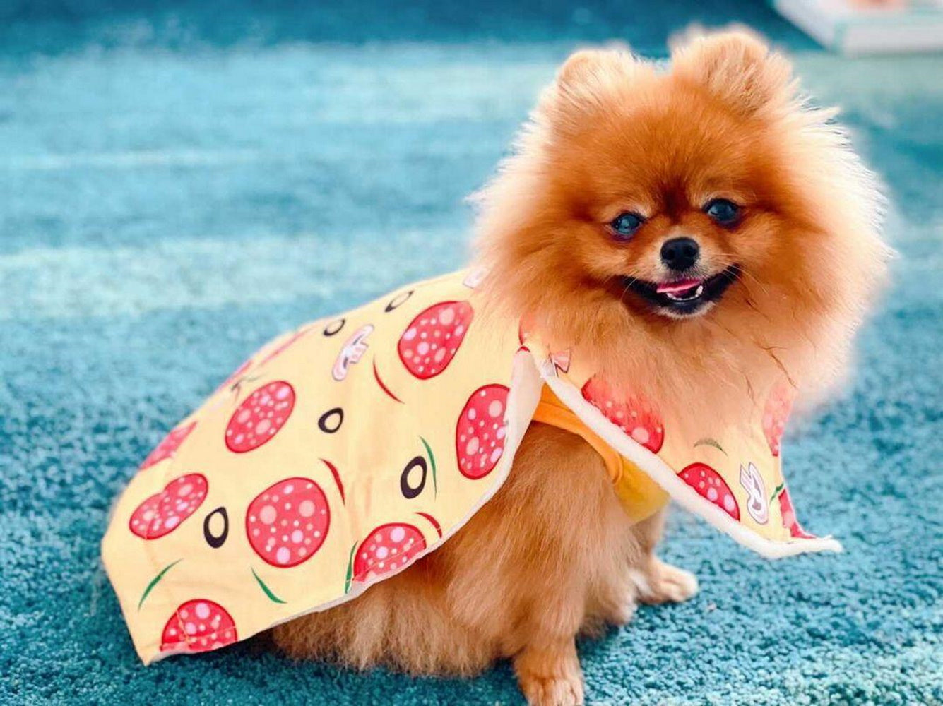 Pizza Slice Dog Halloween CostumeDoggyTopia